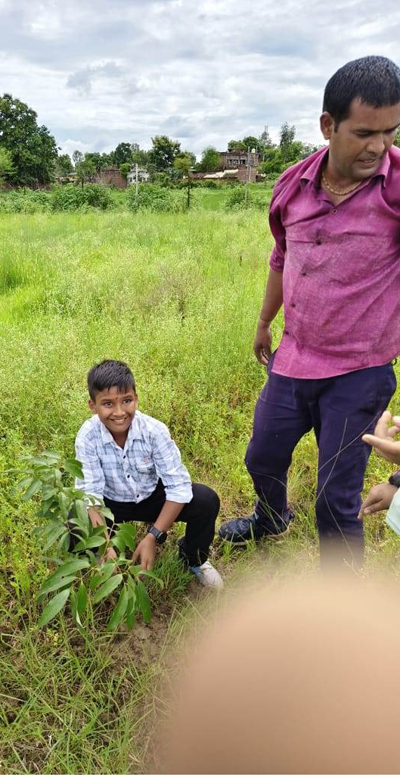 The Shape Internation School